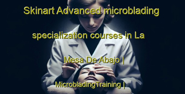 Skinart Advanced microblading specialization courses in La Mesa De Abajo | MicrobladingTraining | MicrobladingClasses | SkinartTraining-Mexico